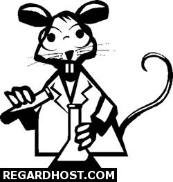 ���� ���ی�ی ��� ���� 10 ��� ���