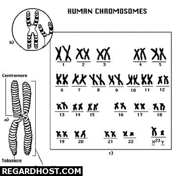 ���� ���ی�ی ��� ���� 10 ��� ���