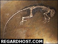 �Ә�� 47 �ی�ی�� ���� "��ی� �ј ʘ��� �ی������"